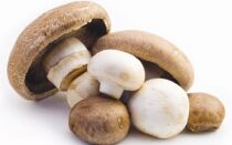 Можно ли есть грибы при грудном вскармливании: советы и рекомендации